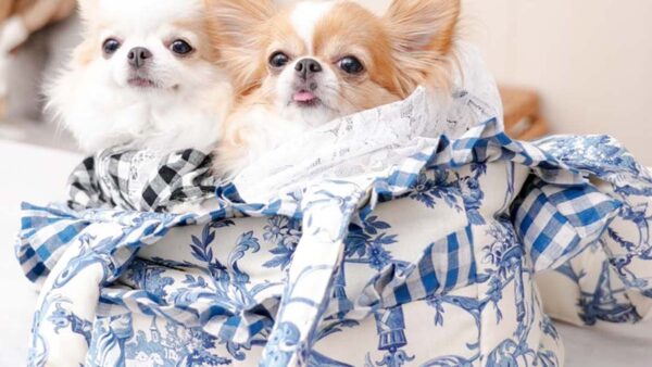 A：トワルドジュイ柄ポケットフリルキャリーバッグ